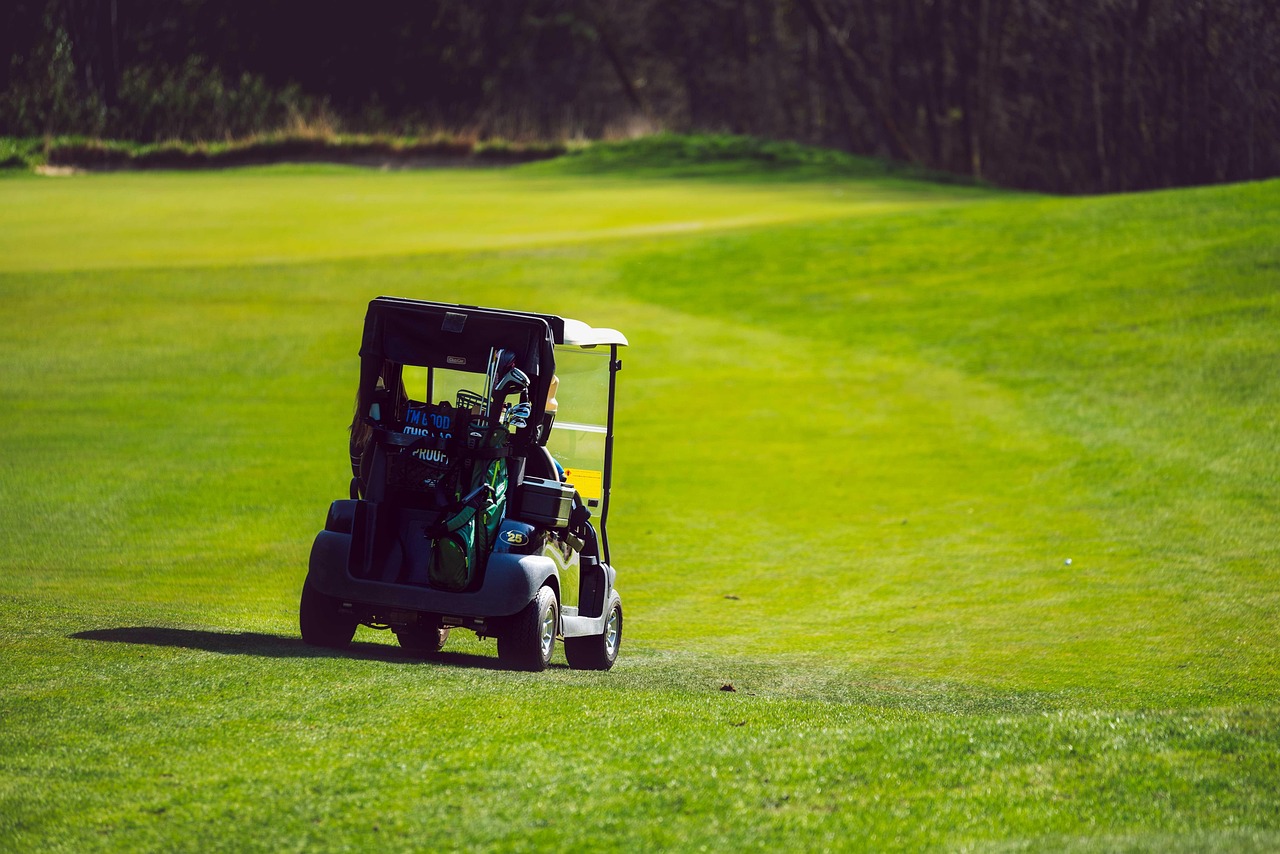 How Much Does a Golf Cart Weigh